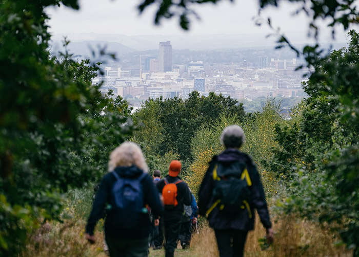 Group of people hiking in the woodland