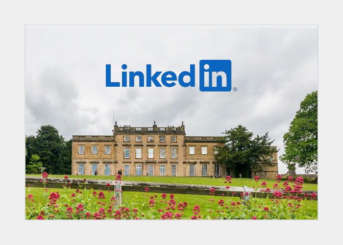 LinkedIn link