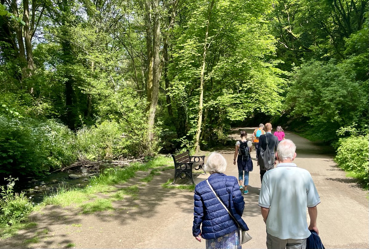 Group of people walking in woods
