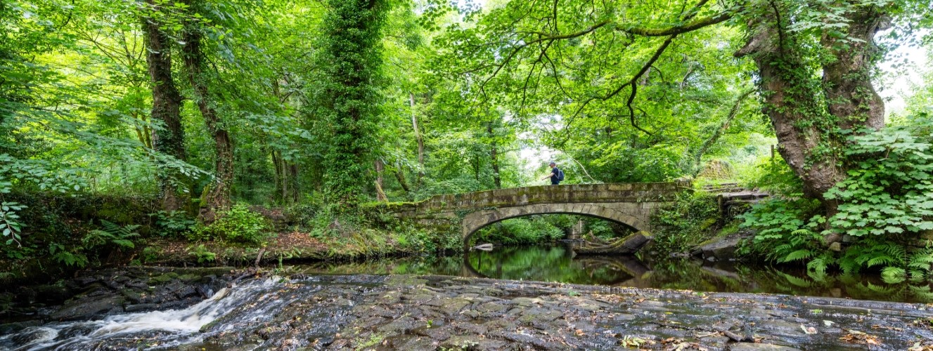 Recruitment opens for new Advisory Panel to help shape strategy for nature recovery in South Yorkshire