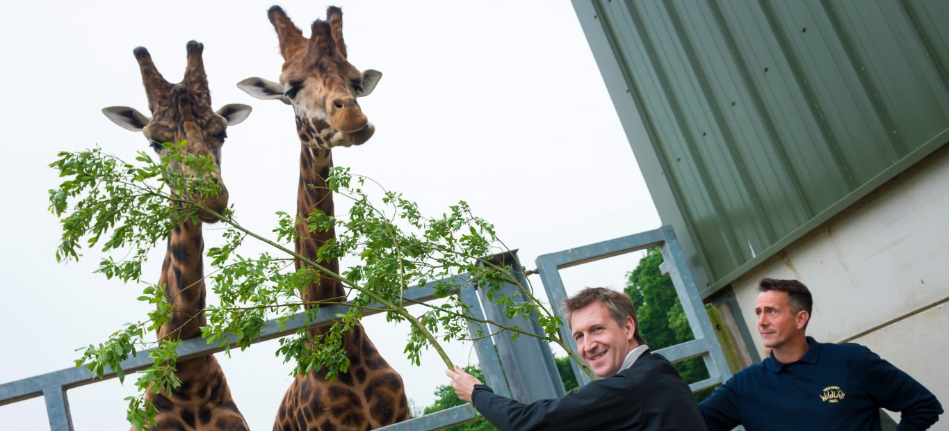 Yorkshire Wildlife Park Expansion Project