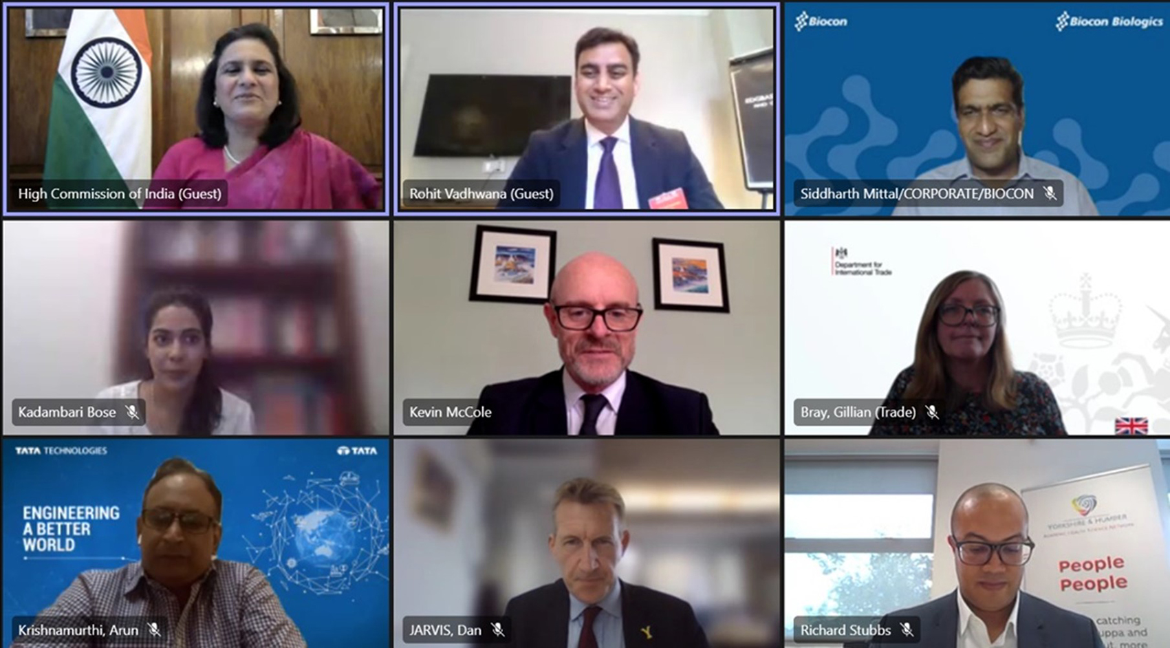 Screenshot of round table webinar