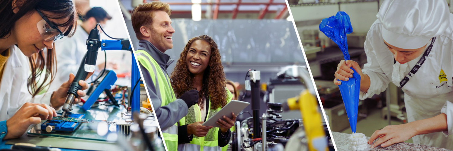 Education, Skills and Employability