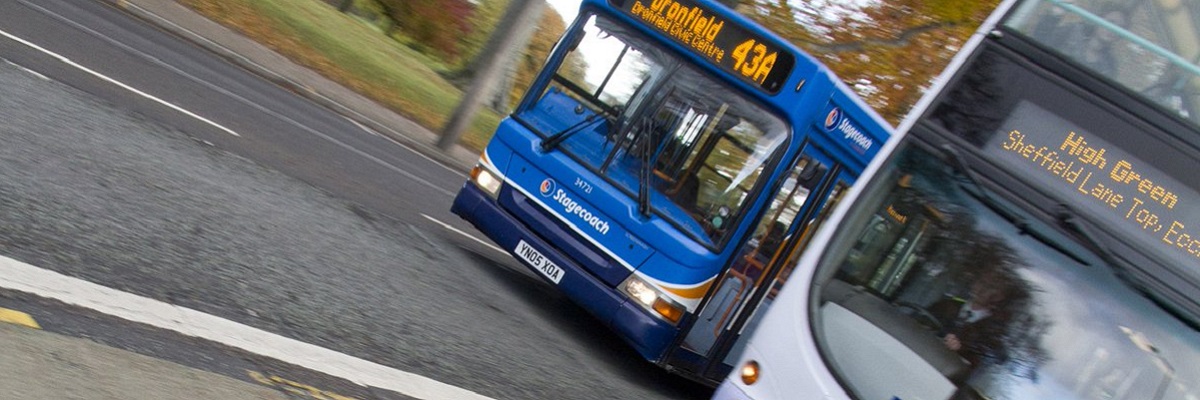 Buses