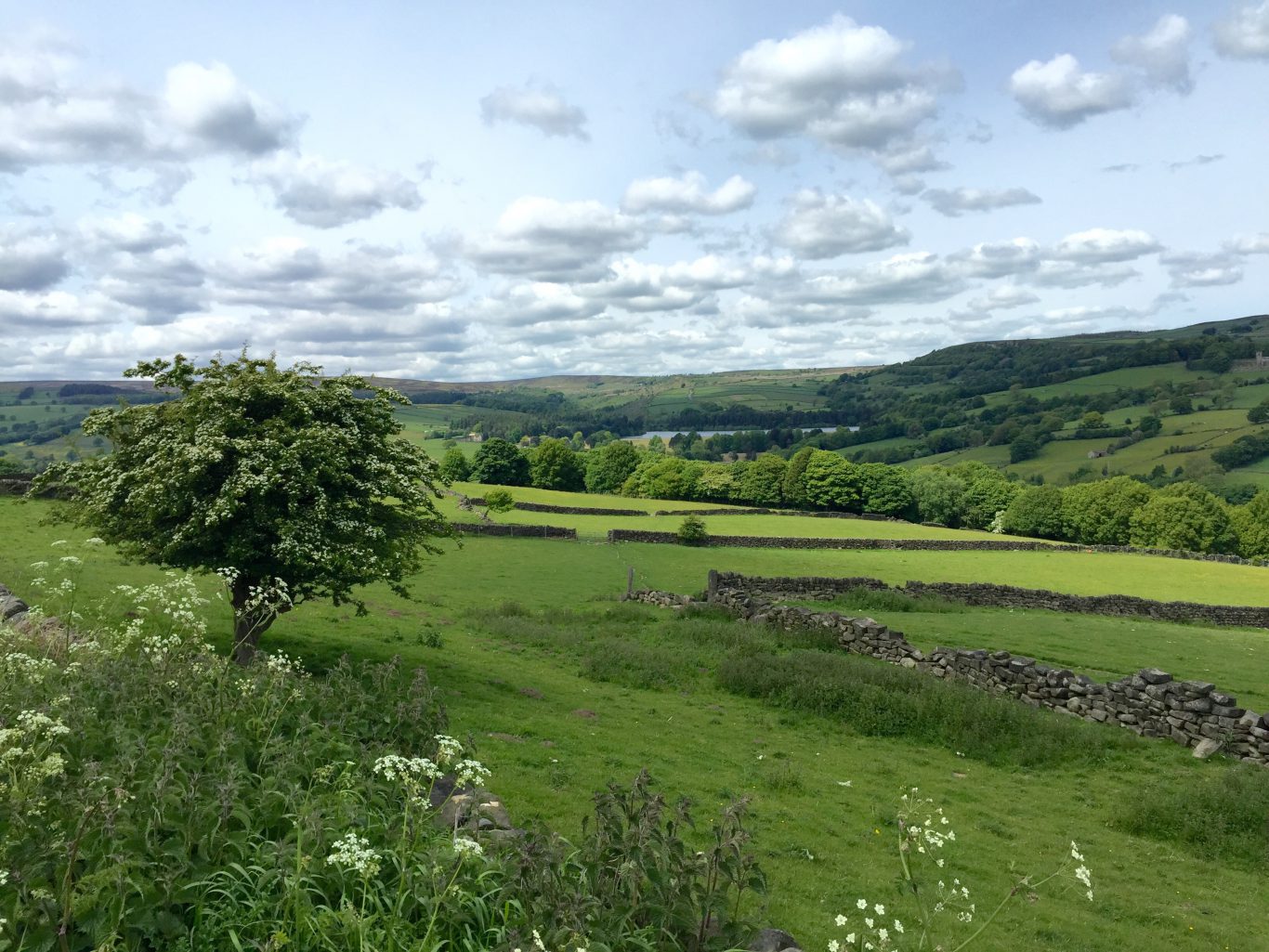 Big Dan Jarvis Headshot