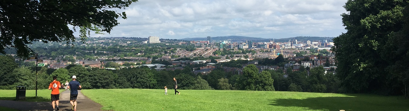 STEP Local Transport Plan