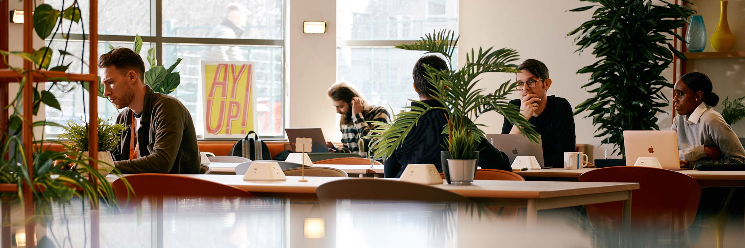 people working in the office