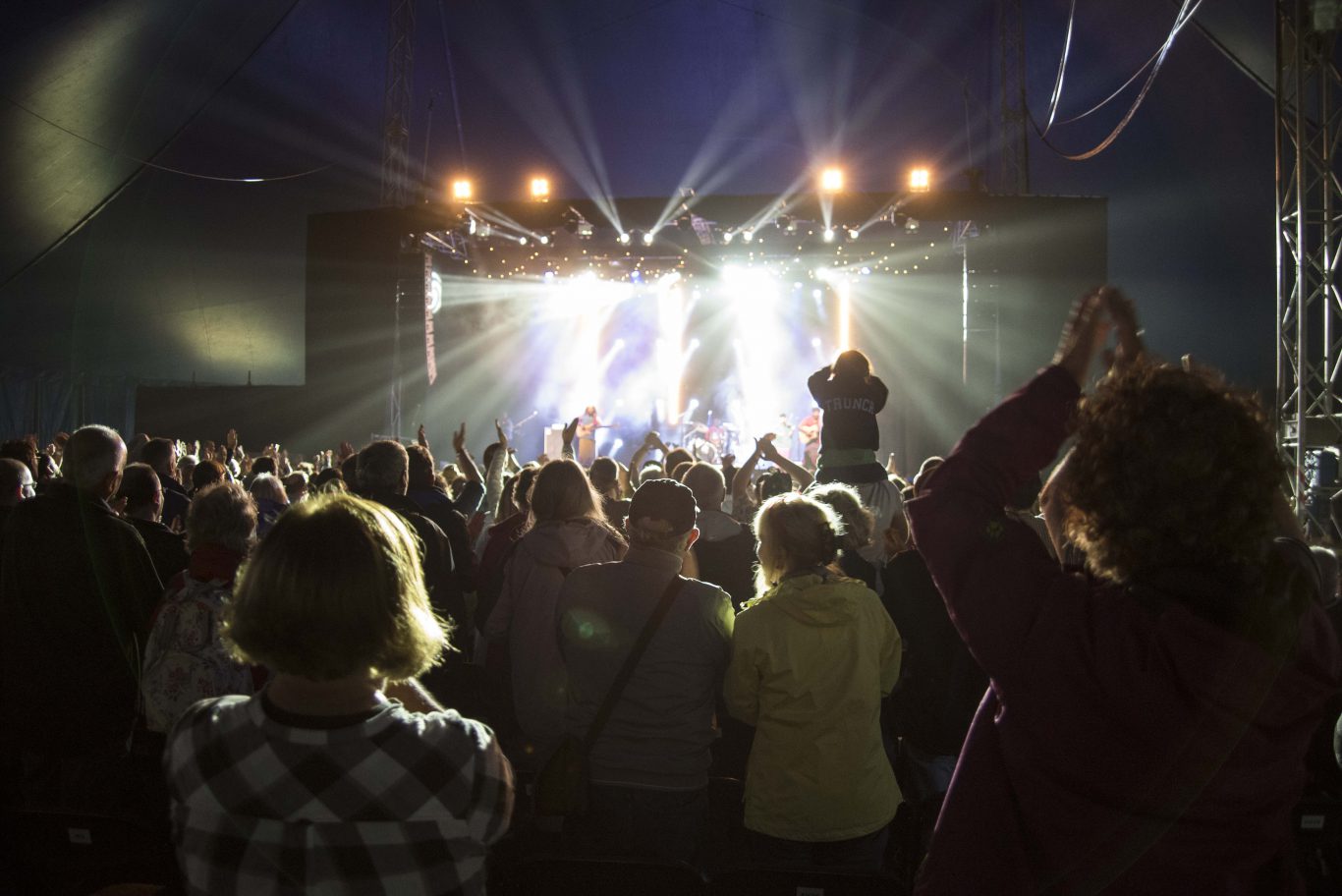 People in crowd at a concert