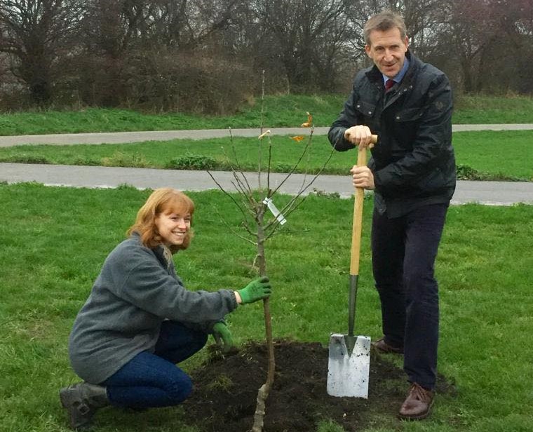Dan Jarvis and a woman planting a tree
