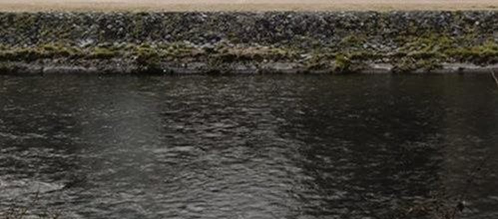 Forge Island Enabling